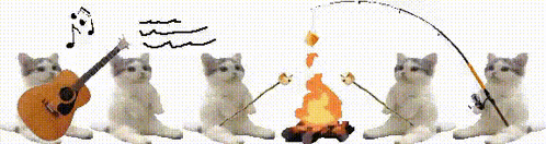 Cats Camping